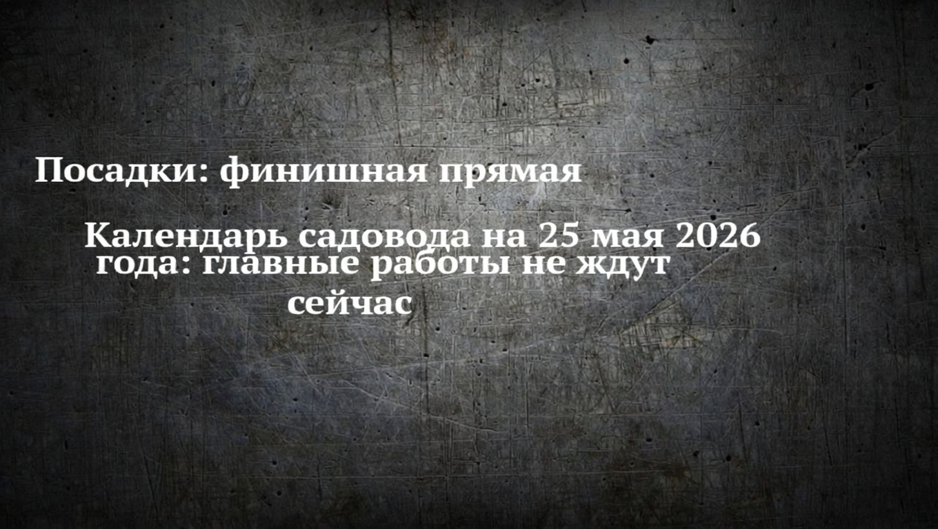Посадки: финишная прямая