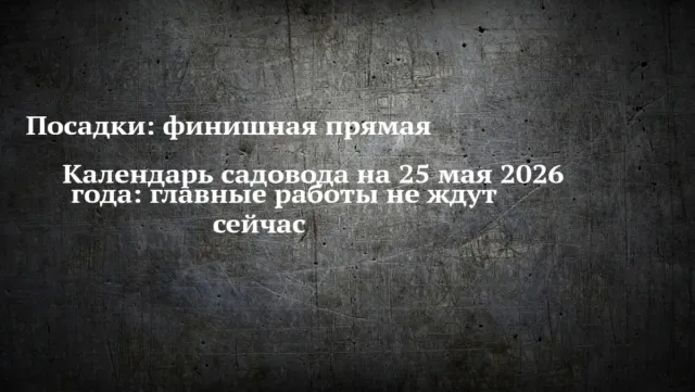 Посадки: финишная прямая